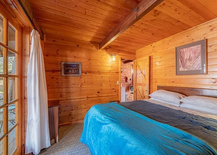 Forest 3 Bear's Den Holiday home